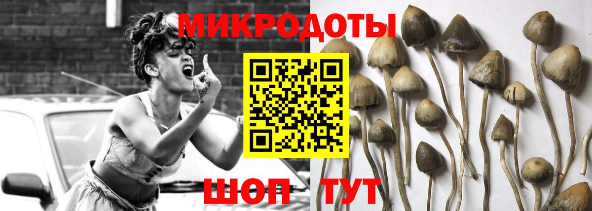 Кызыл  Галлюциногенные грибы MAGIC MUSHROOMS  Вход с VPN 