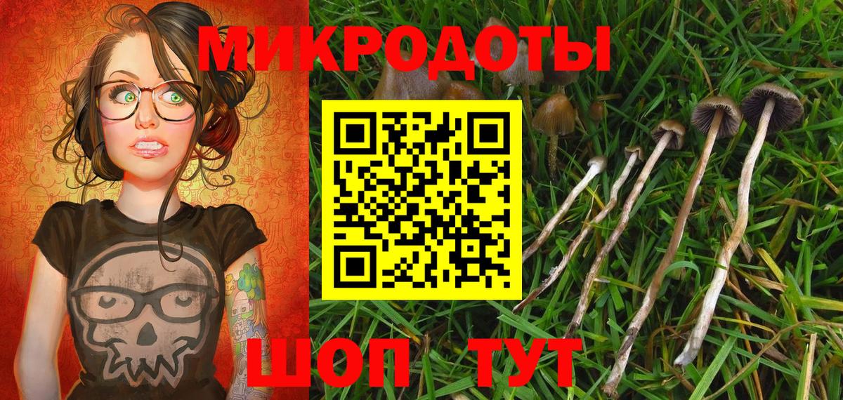 Псилоцибиновые грибы прущие грибы Кызыл